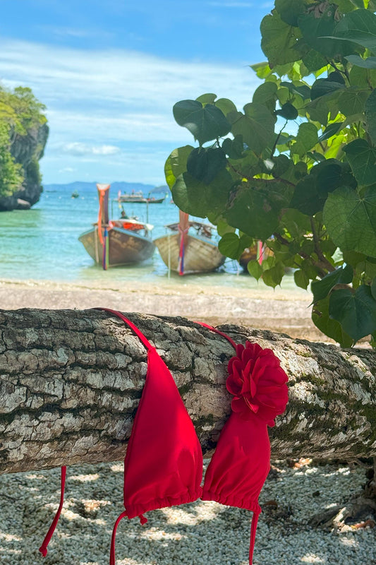 Folie Rouge Bikini Top