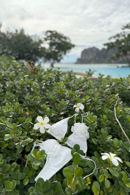 Rêverie Bikini Bottom