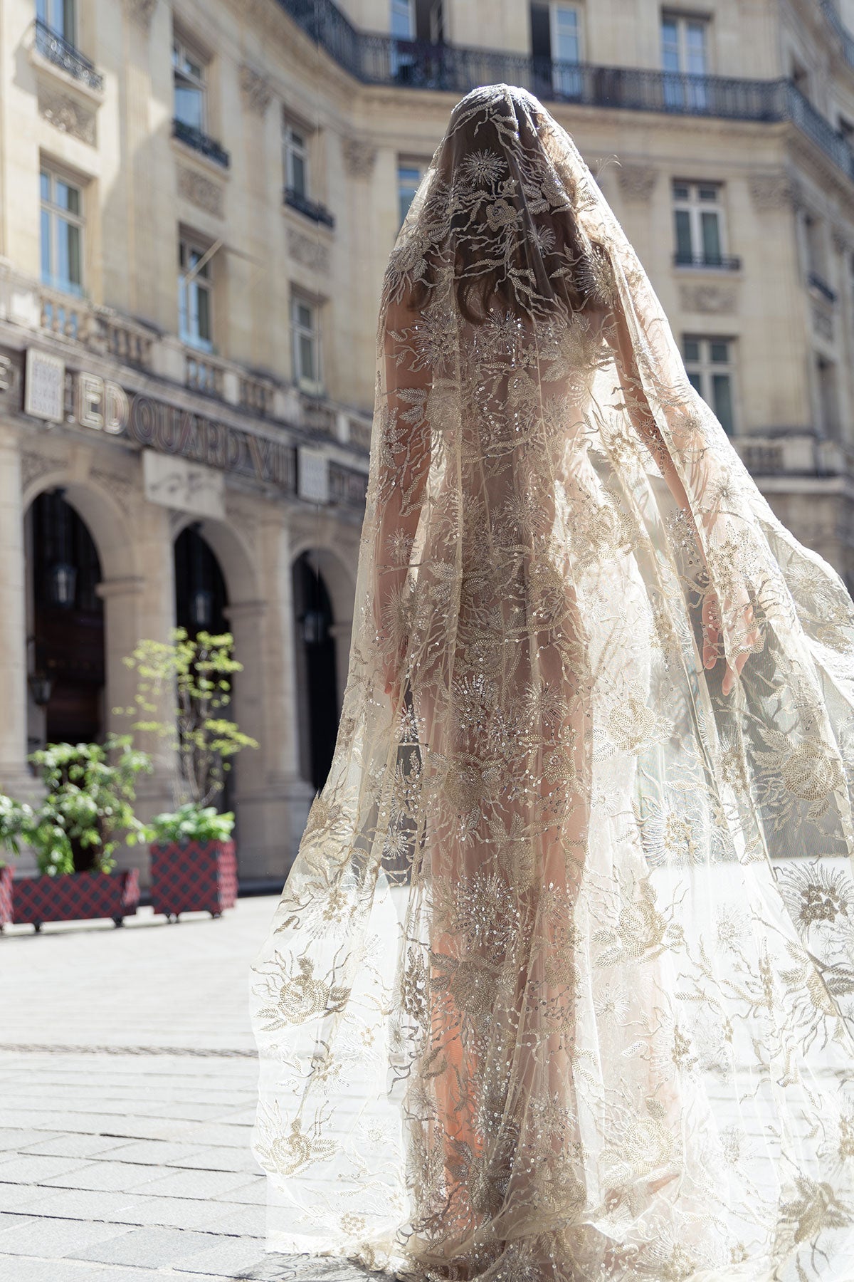 Madame Palatine Dress: Red Carpet Dress