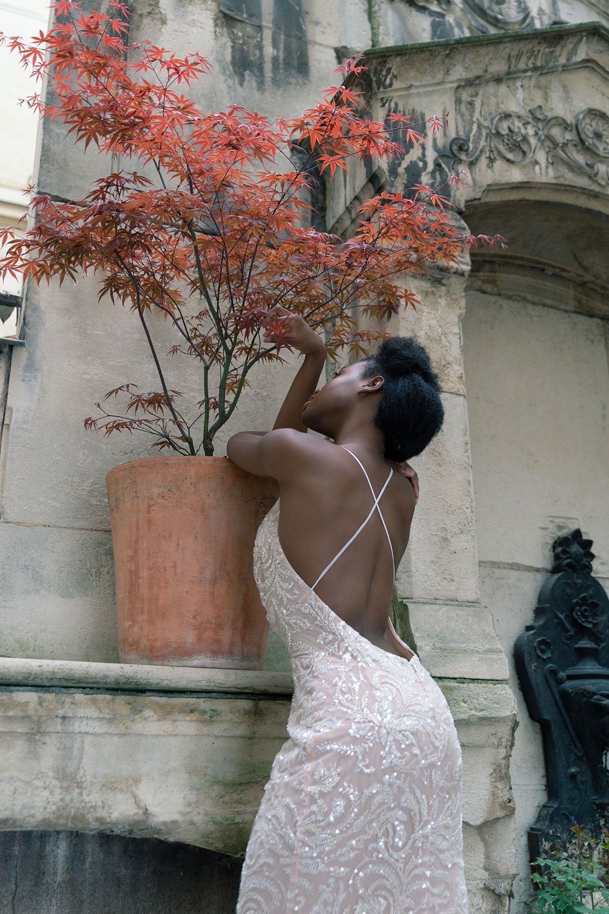 Silvery-Beige Lace Sheath Dress: 1763 Parisian Comet-Inspired Elegance for Unforgettable Wedding Liina Stein Silvery-Beige Lace Sheath Dress: 1763 Parisian Comet-Inspired Elegance for Unforgettable Wedding Liina Stein
